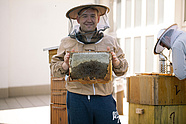 The beekeeper, Tomasz Petryka. Photo: Marcin Łabuz