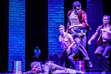 Cudowny mandaryn, fot. B. Kruk