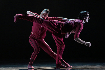 LEGO fot. / photo by Alfredo Anceschi