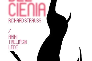 [Translate to English:] Projekt: M. Gurowska - BOX