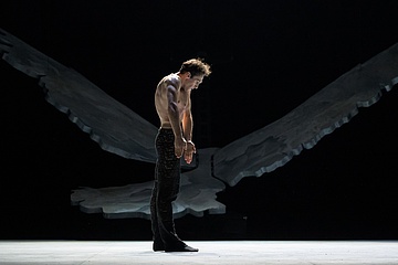 Vibrations, Fly Paper Bird, fot. Serghei Gherciu