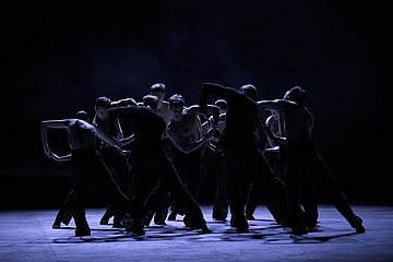  Vibrations, Fly Paper Bird, fot. Serghei Gherciu