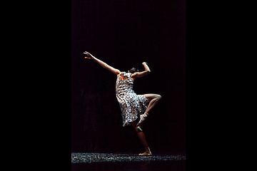 Rain Dogs fot. / photo by Nadir Bonazzi