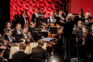 fot. Krzysztof Bieliński