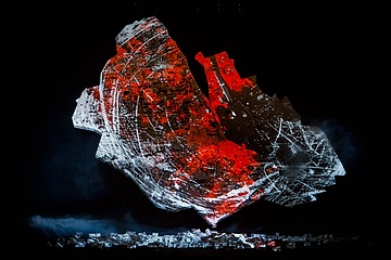 Fot. Krzysztof Bieliński