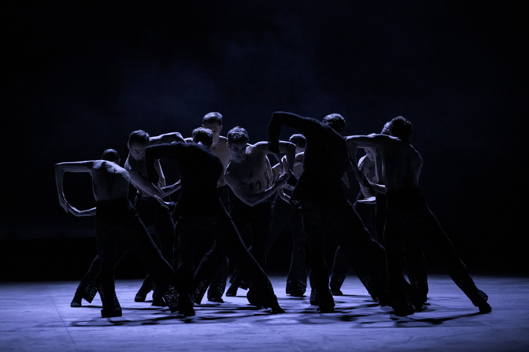 Vibrations Czech National Ballet : Teatr Wielki Opera Narodowa