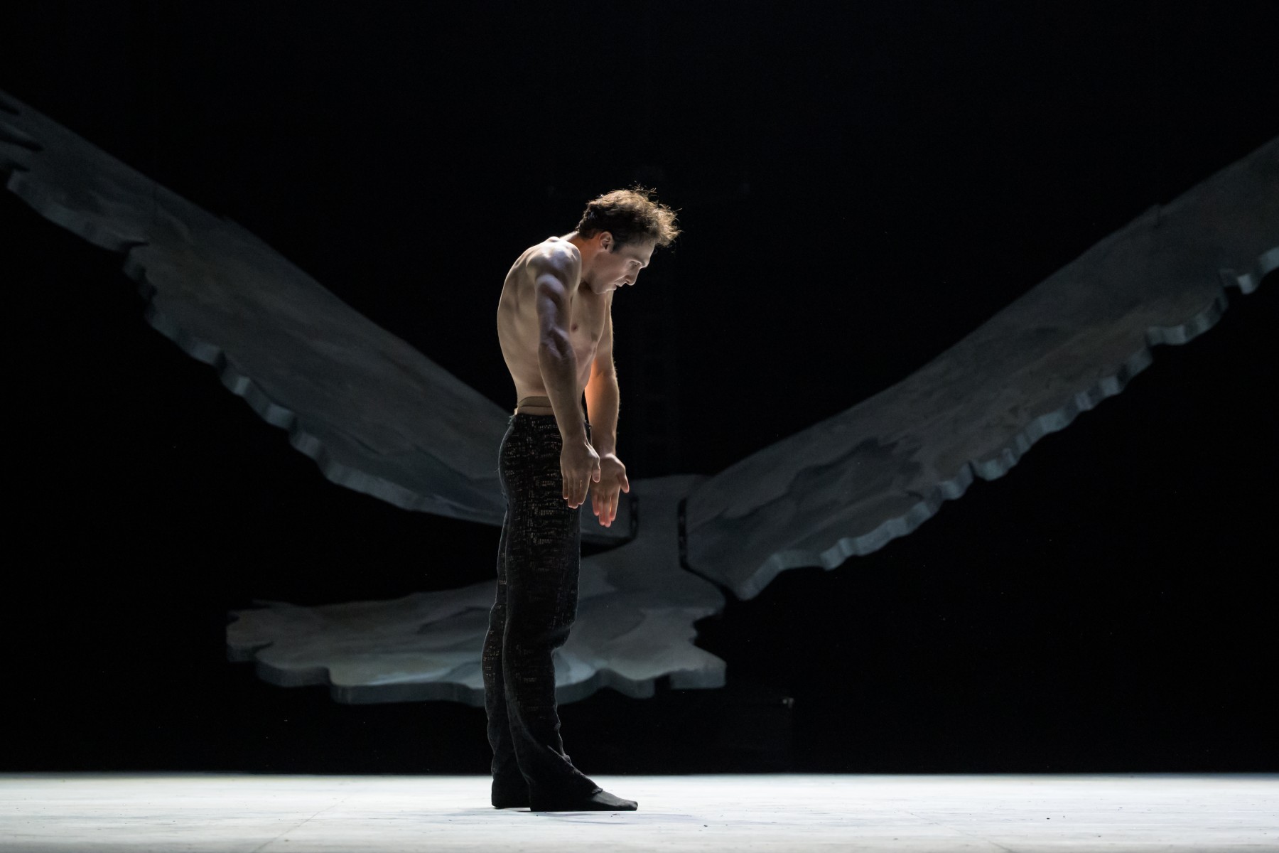 Vibrations Czech National Ballet : Teatr Wielki Opera Narodowa