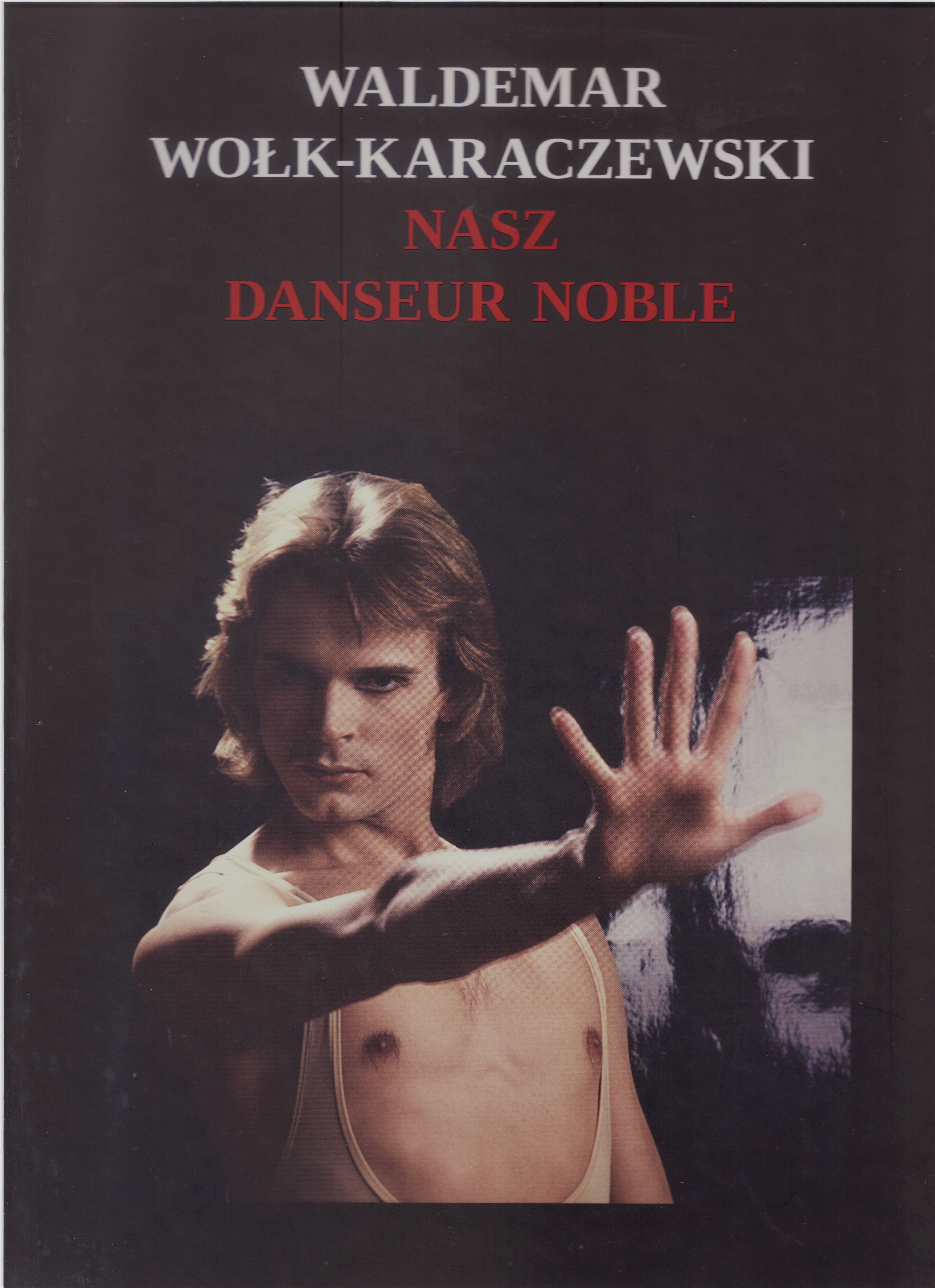 The book's cover art