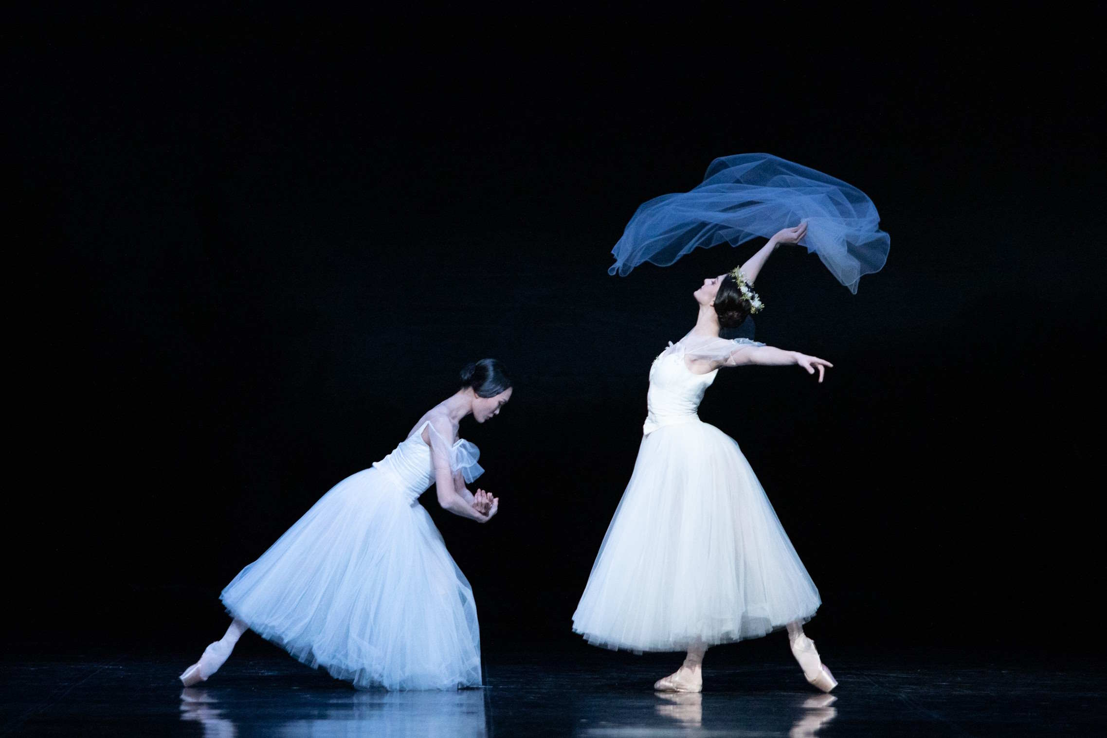 Yana Shtanhei jako Mirta i Yuka Ebihara jako Giselle w „Giselle”, fot. Ewa Krasucka